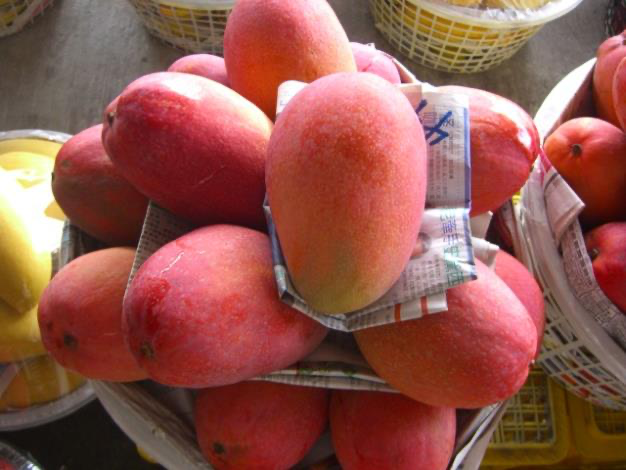 台南玉井夏天最有味道的地方！走進玉井芒果批發市場，感受整座山城最熱鬧的果香日常