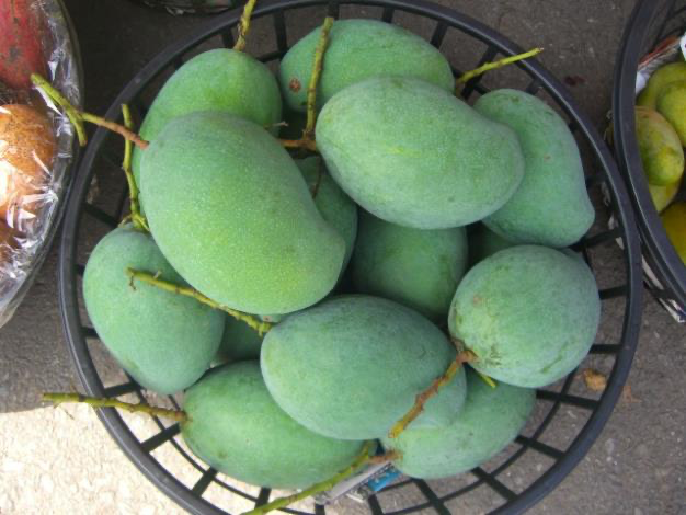 台南玉井夏天最有味道的地方！走進玉井芒果批發市場，感受整座山城最熱鬧的果香日常