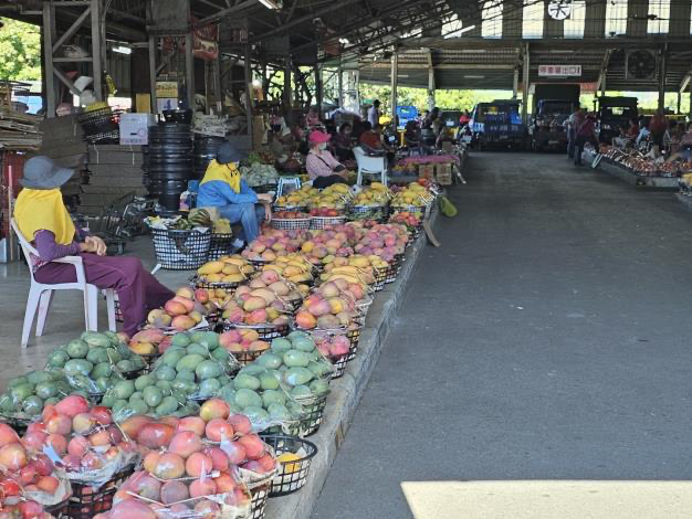 台南玉井夏天最有味道的地方！走進玉井芒果批發市場，感受整座山城最熱鬧的果香日常