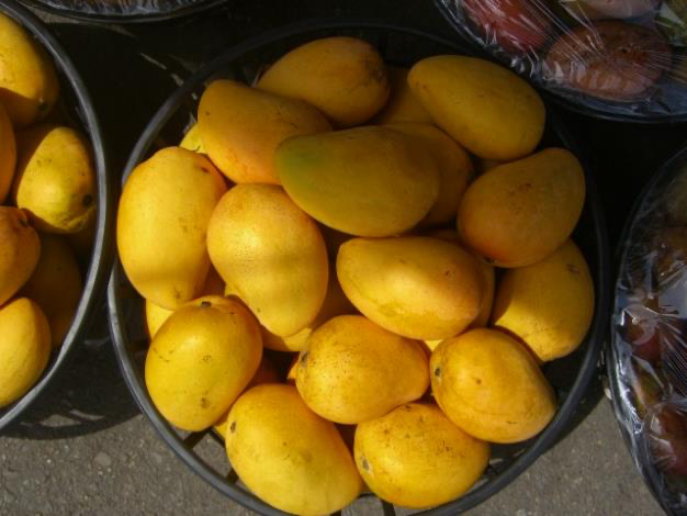 台南玉井夏天最有味道的地方！走進玉井芒果批發市場，感受整座山城最熱鬧的果香日常