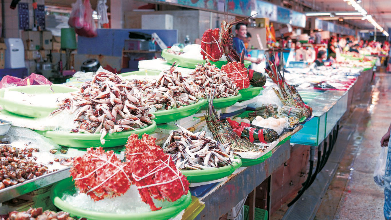 台中海線最有煙火氣的地方!走進梧棲觀光漁港,現撈海鮮、市集美食與海風吹拂一次收進行程裡