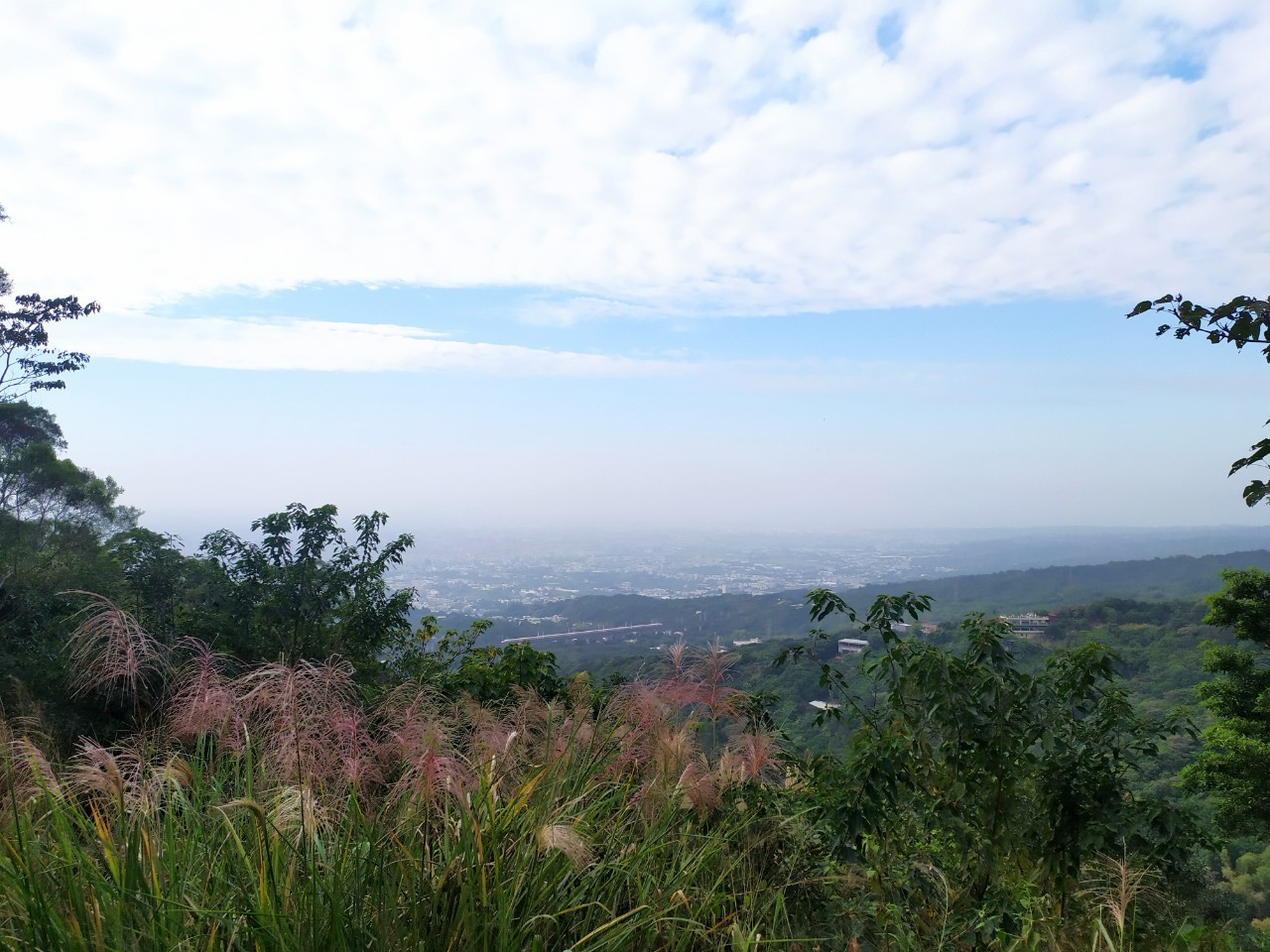彰化員林最受歡迎的健行路線之一！走進藤山步道，綠蔭、桐花與山城散步感一次收進行程裡