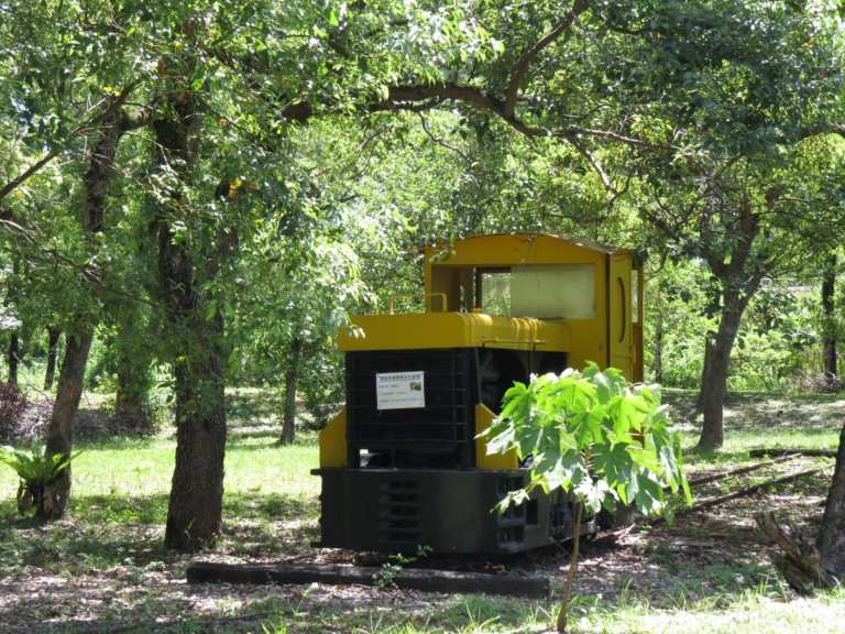 花蓮吉安藏著一座會讓人慢下來的森林園區！走進南華林業園區，感受老林業場域轉身後的綠意日常
