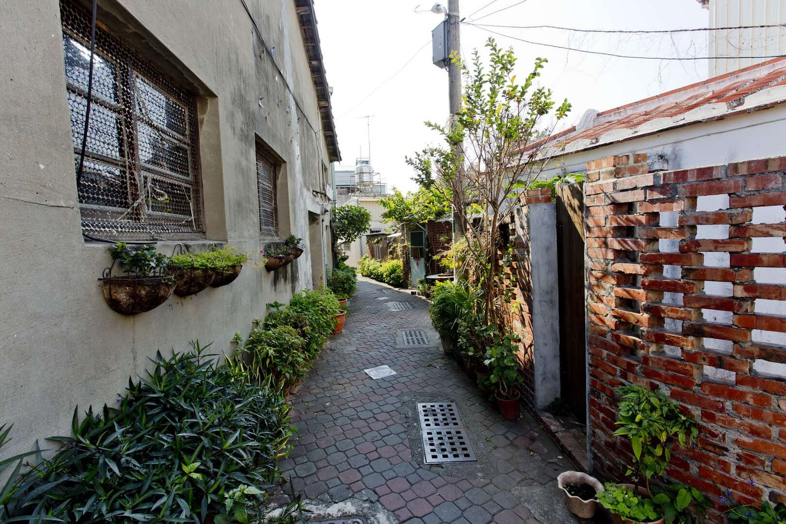 台南最有味道的老街還是它!安平老街不只美食多,連巷弄都藏滿故事