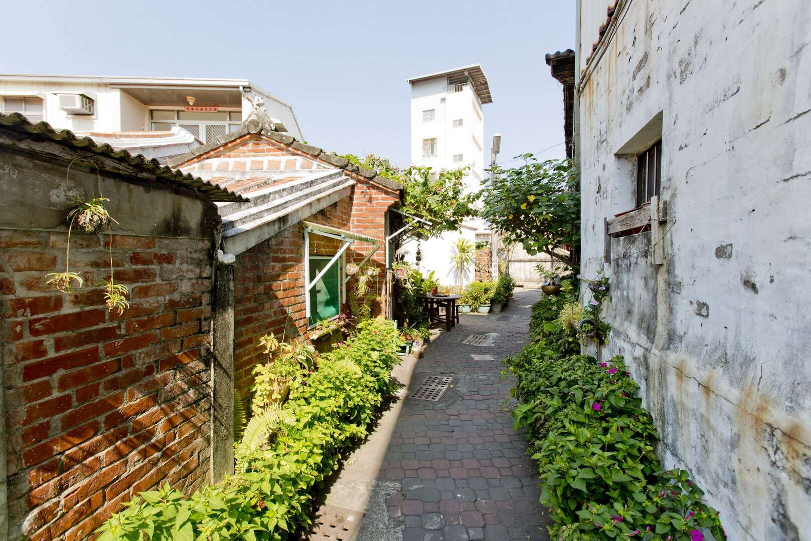 台南最有味道的老街還是它！安平老街不只美食多，連巷弄都藏滿故事