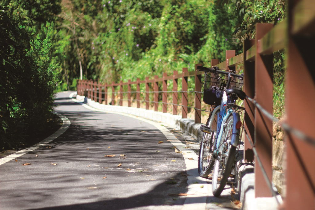 南投最值得騎的一條路！日月潭環潭自行車不只看湖景，30公里一路美到捨不得停下來