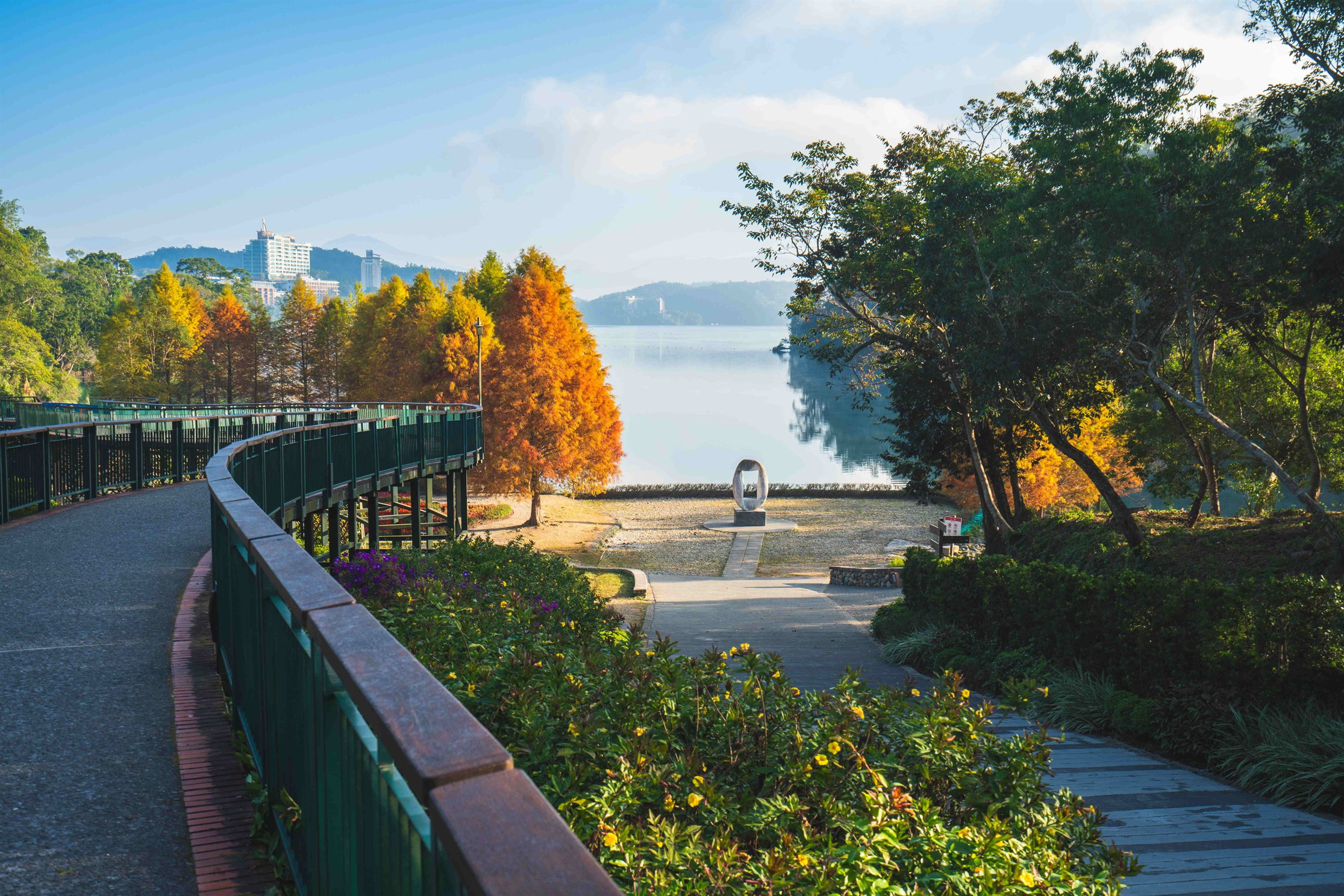 日月潭最美秋冬秘境之一!向山落羽松一整排金黃變色,隨手拍都是電影感