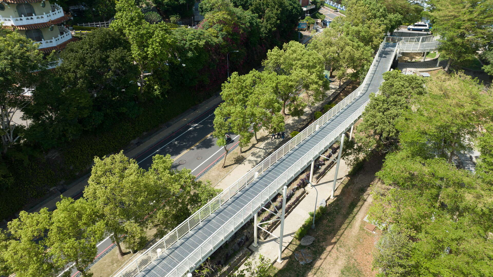 彰化最經典地標！走進八卦山大佛風景區　把城市天際線、佛像地標與散步風景一次收進行程