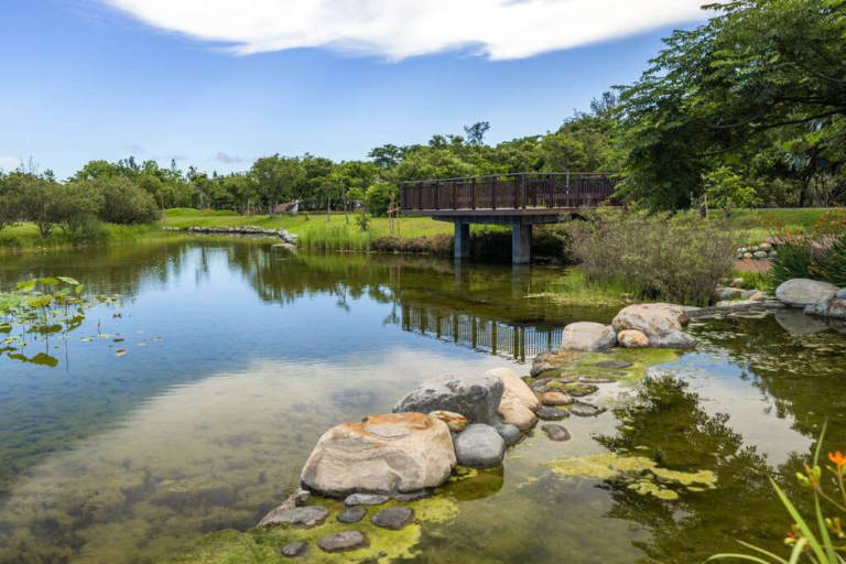 台東最療癒的城市綠洲！走進台東森林公園　把湖景、單車道與海風一次收進旅程