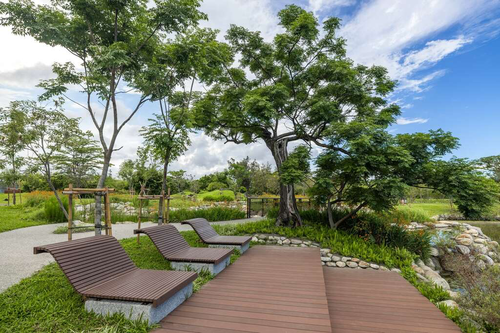 台東最療癒的城市綠洲!走進台東森林公園 把湖景、單車道與海風一次收進旅程