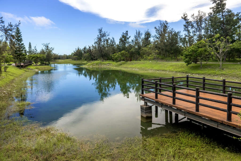 台東最療癒的城市綠洲!走進台東森林公園 把湖景、單車道與海風一次收進旅程