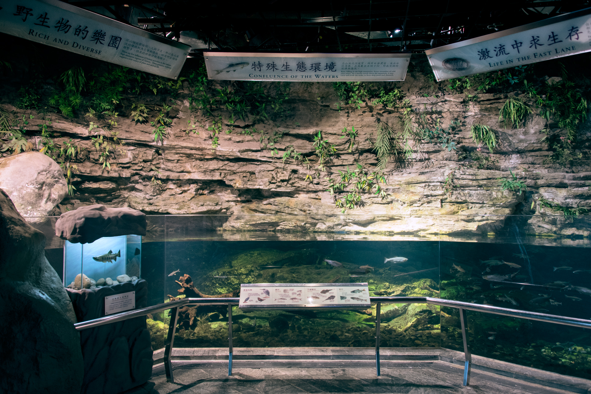 屏東親子旅遊王者！走進國立海洋生物博物館　把白鯨、企鵝與夢幻海底世界一次看滿