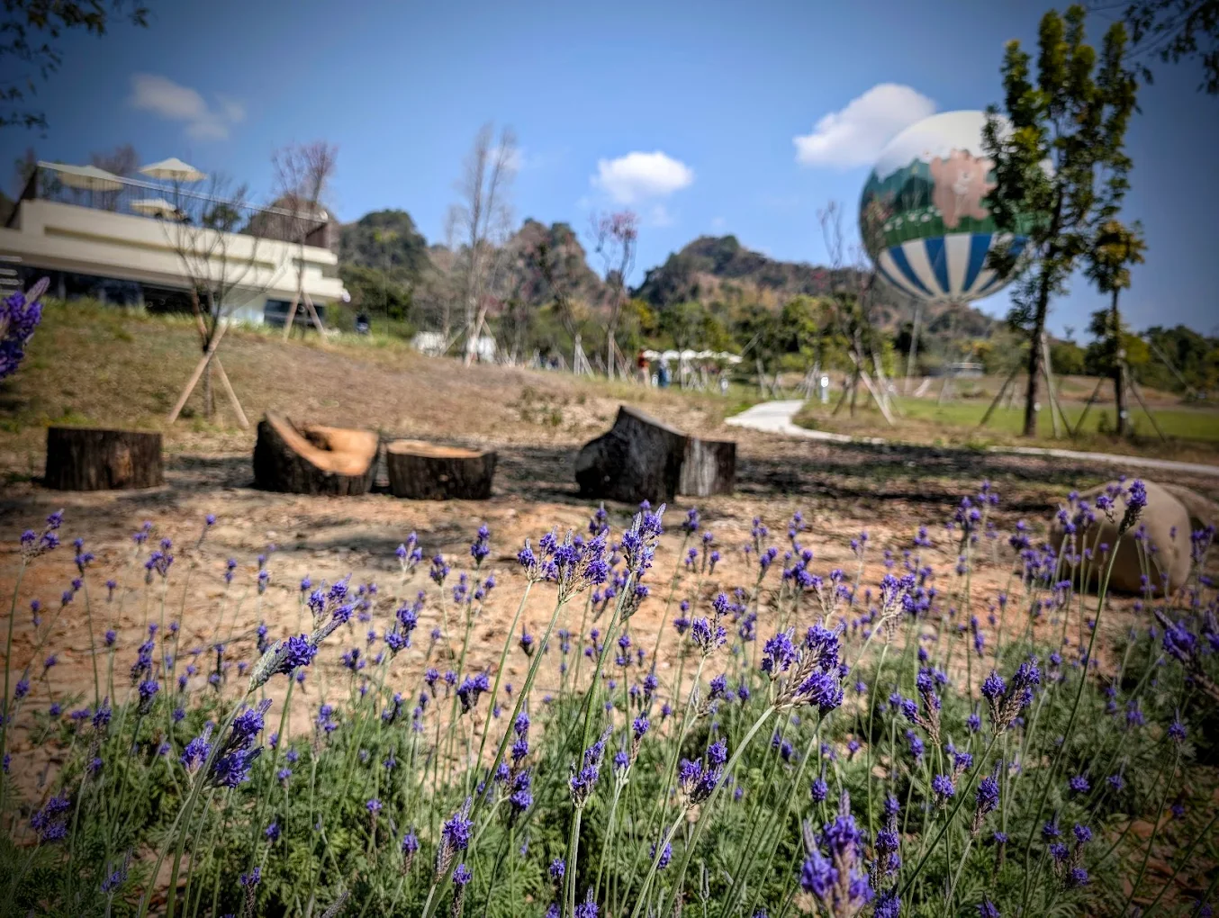 薰衣草森林南投九九峰園區｜九九峰氦氣球樂園