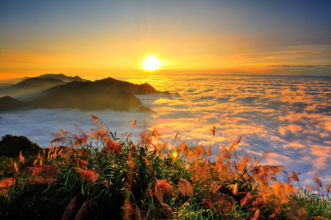 二延平步道的每一步都像慢慢靠近天空，在茶香之中世界變得簡單而純粹