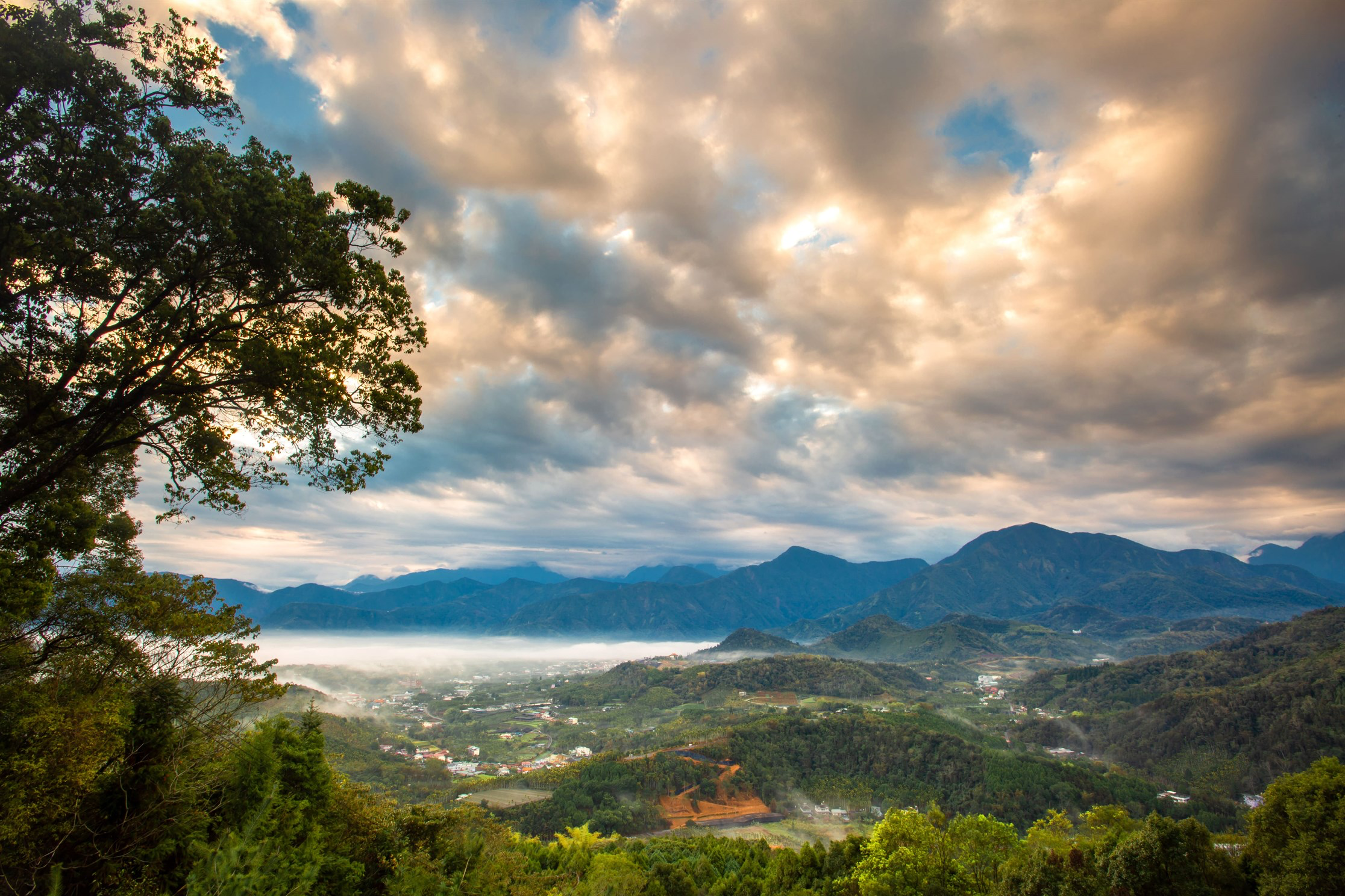 在金龍山的觀景台上停留，看光從山谷升起，讓心慢慢回到最安靜的狀態