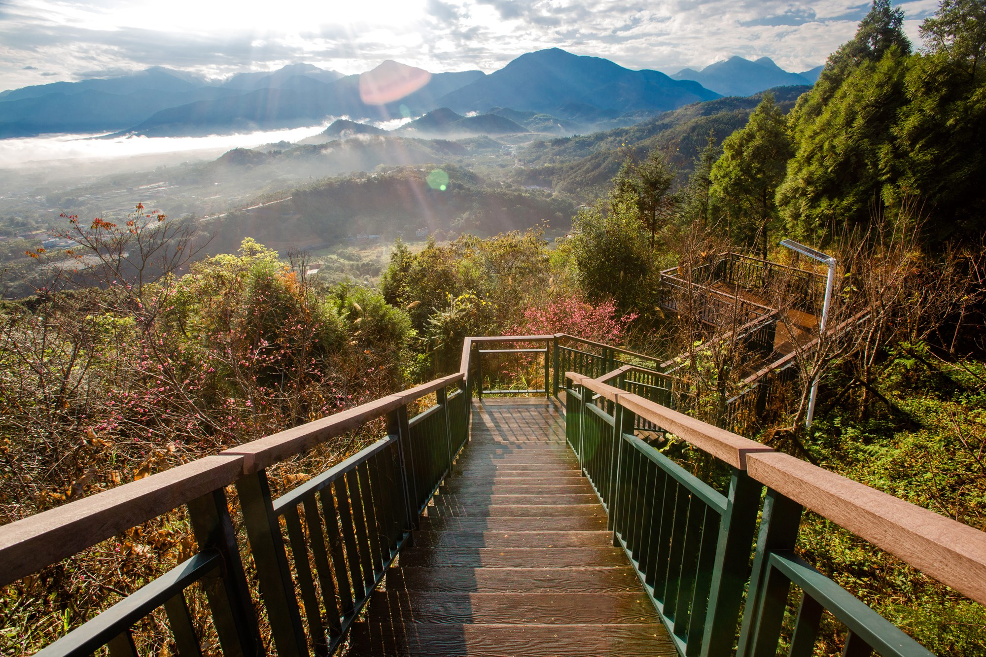 在金龍山的觀景台上停留，看光從山谷升起，讓心慢慢回到最安靜的狀態