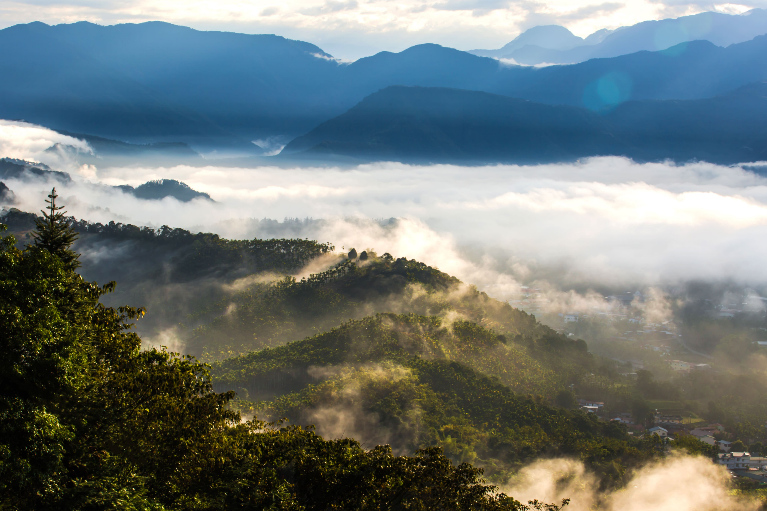 在金龍山的觀景台上停留，看光從山谷升起，讓心慢慢回到最安靜的狀態