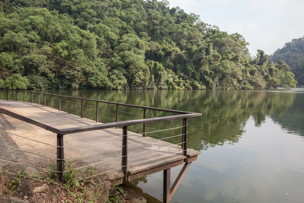 後慈湖秘境步道不只是一條山路！桃園大溪走進森林與湖景交織的靜謐秘境