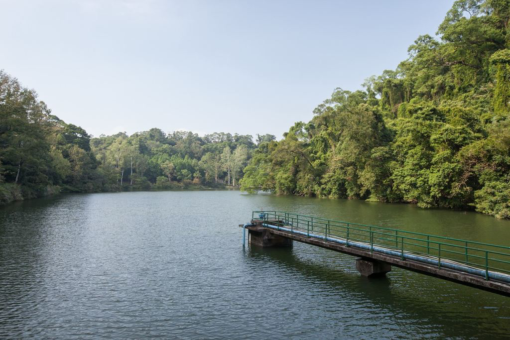 後慈湖秘境步道不只是一條山路！桃園大溪走進森林與湖景交織的靜謐秘境