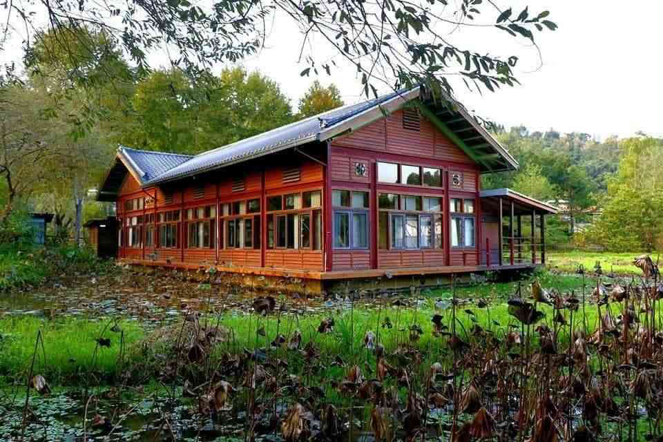 桃米生態村慢旅行必訪！走進桃源客棧感受埔里山村魅力，生態體驗與療癒風景一次收進行程