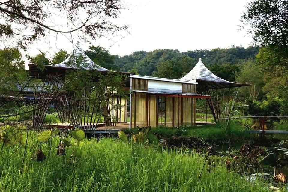 桃米生態村慢旅行必訪！走進桃源客棧感受埔里山村魅力，生態體驗與療癒風景一次收進行程