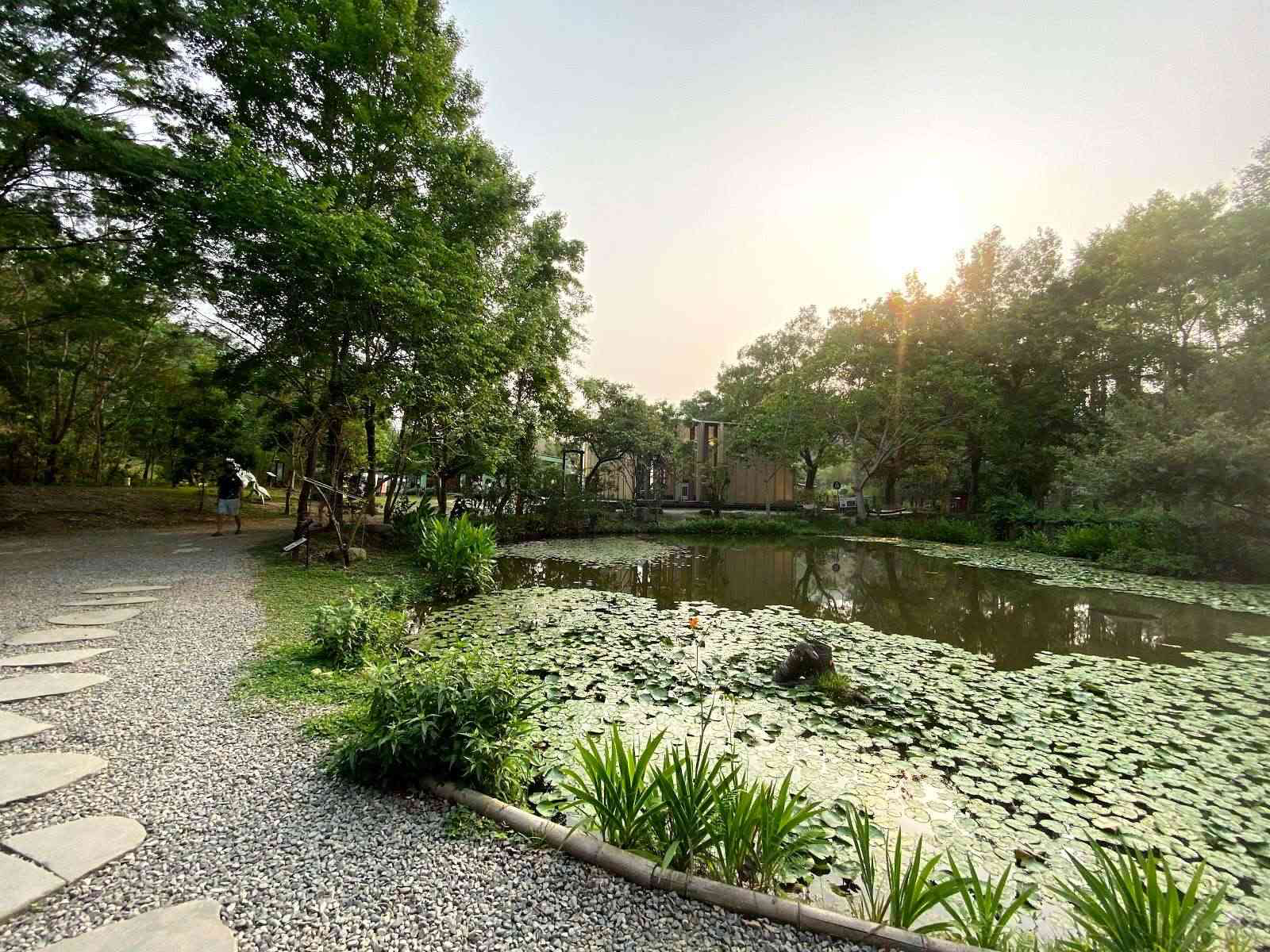 桃米生態村慢旅行必訪！走進桃源客棧感受埔里山村魅力，生態體驗與療癒風景一次收進行程