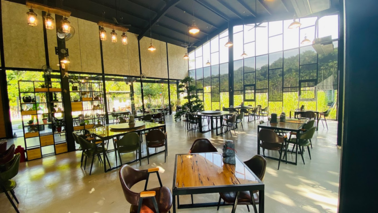 埔里桃米必吃特色餐廳！有水居創意餐坊結合青蛙主題與在地料理，親子用餐超有氛圍