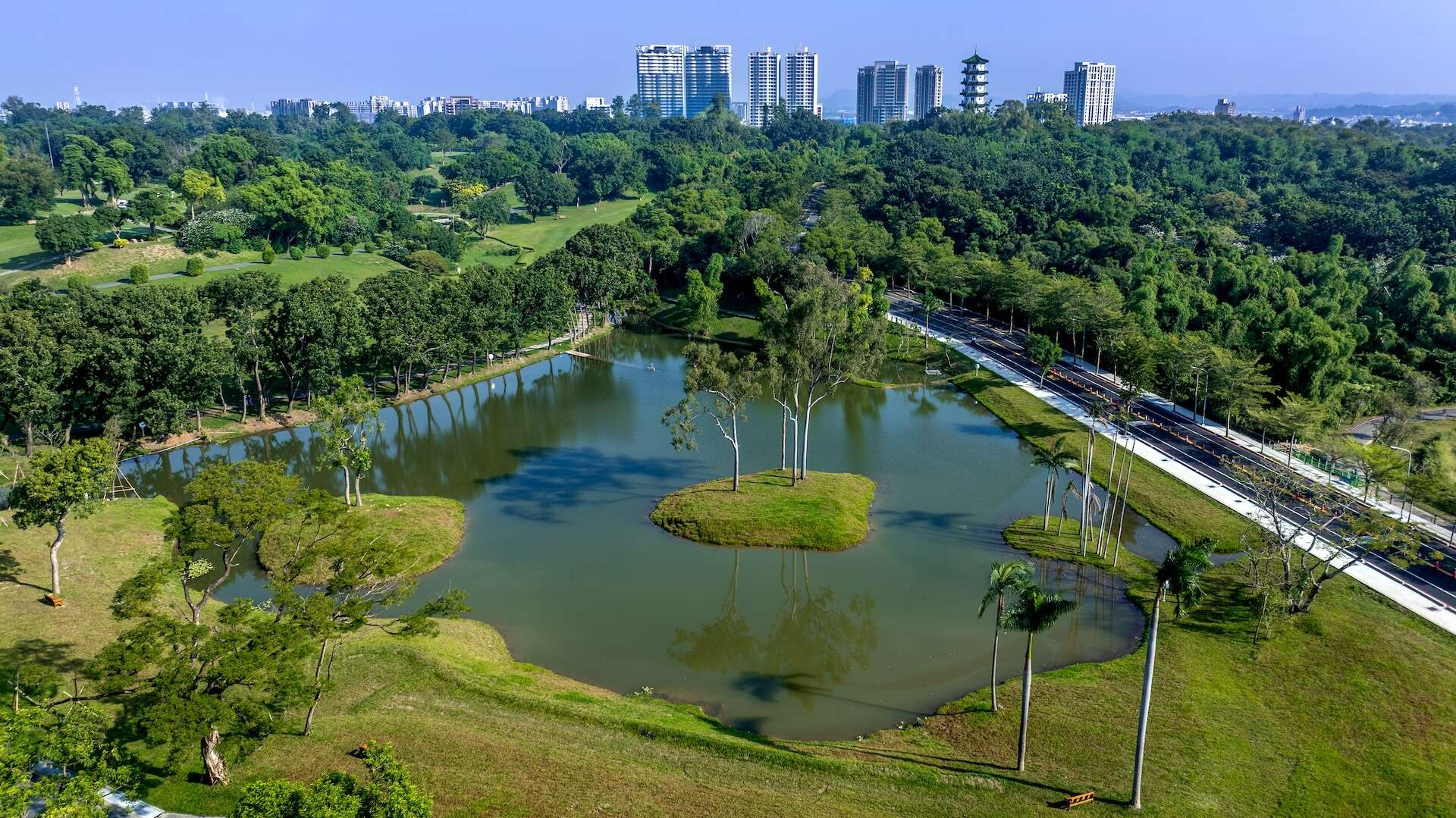 高雄鳥松果嶺自然公園沿著草坡慢慢走，午後的風從樹蔭裡輕輕吹過