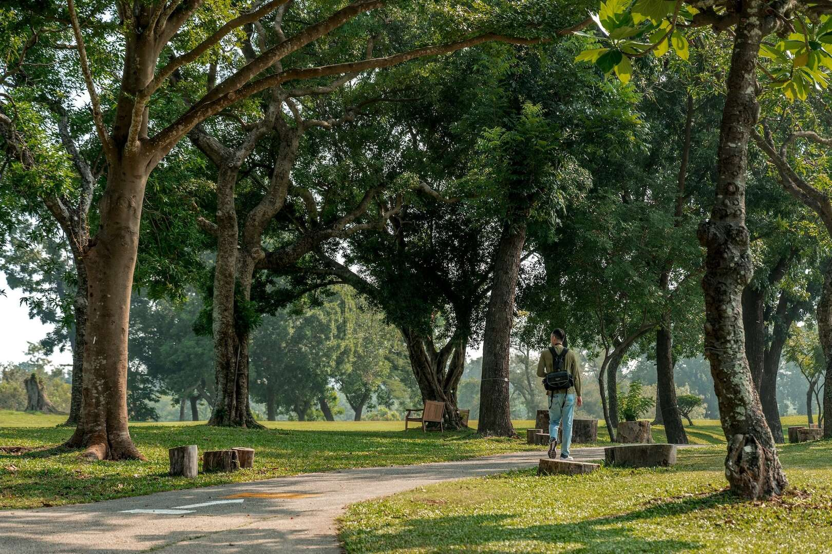 高雄鳥松果嶺自然公園沿著草坡慢慢走，午後的風從樹蔭裡輕輕吹過