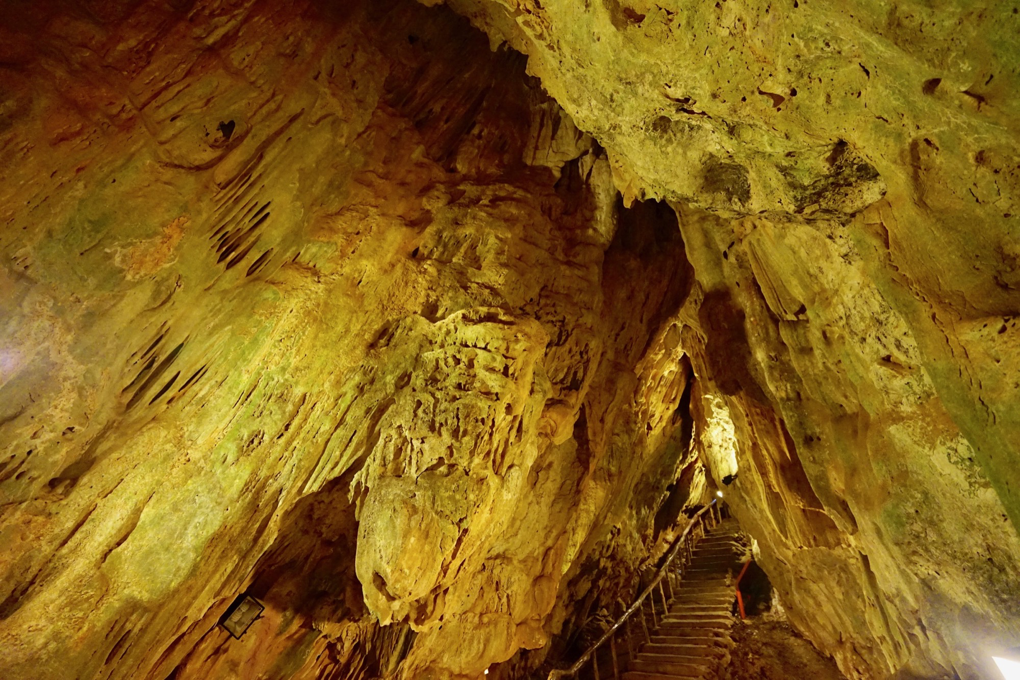 墾丁不只有海!墾丁國家森林遊樂區走進熱帶森林秘境 一次收進步道、巨木與觀海視野