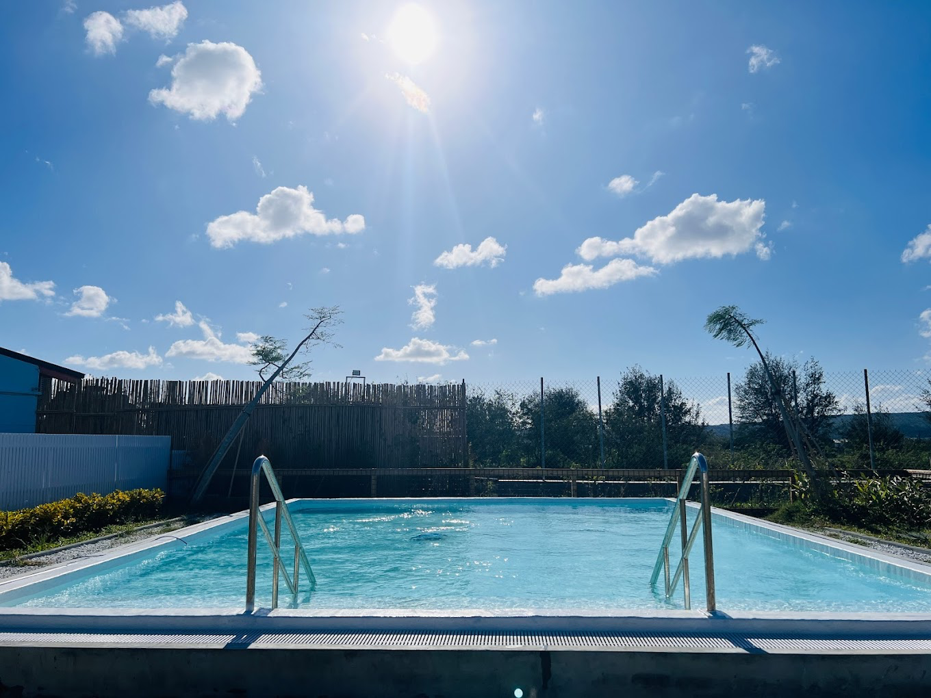 墾丁超療癒親子景點！鹿ㄦ島水豚生態園區近距離餵水豚 還能解鎖超萌互動畫面