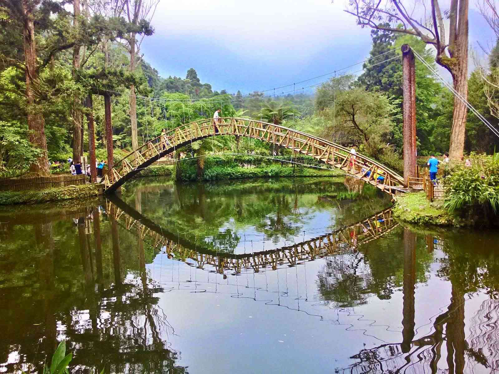 當陽光穿過溪頭森林遊樂區的樹梢，光影落在步道，讓整片森林變得溫柔