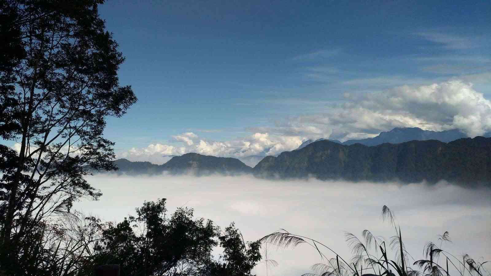 當陽光穿過溪頭森林遊樂區的樹梢，光影落在步道，讓整片森林變得溫柔