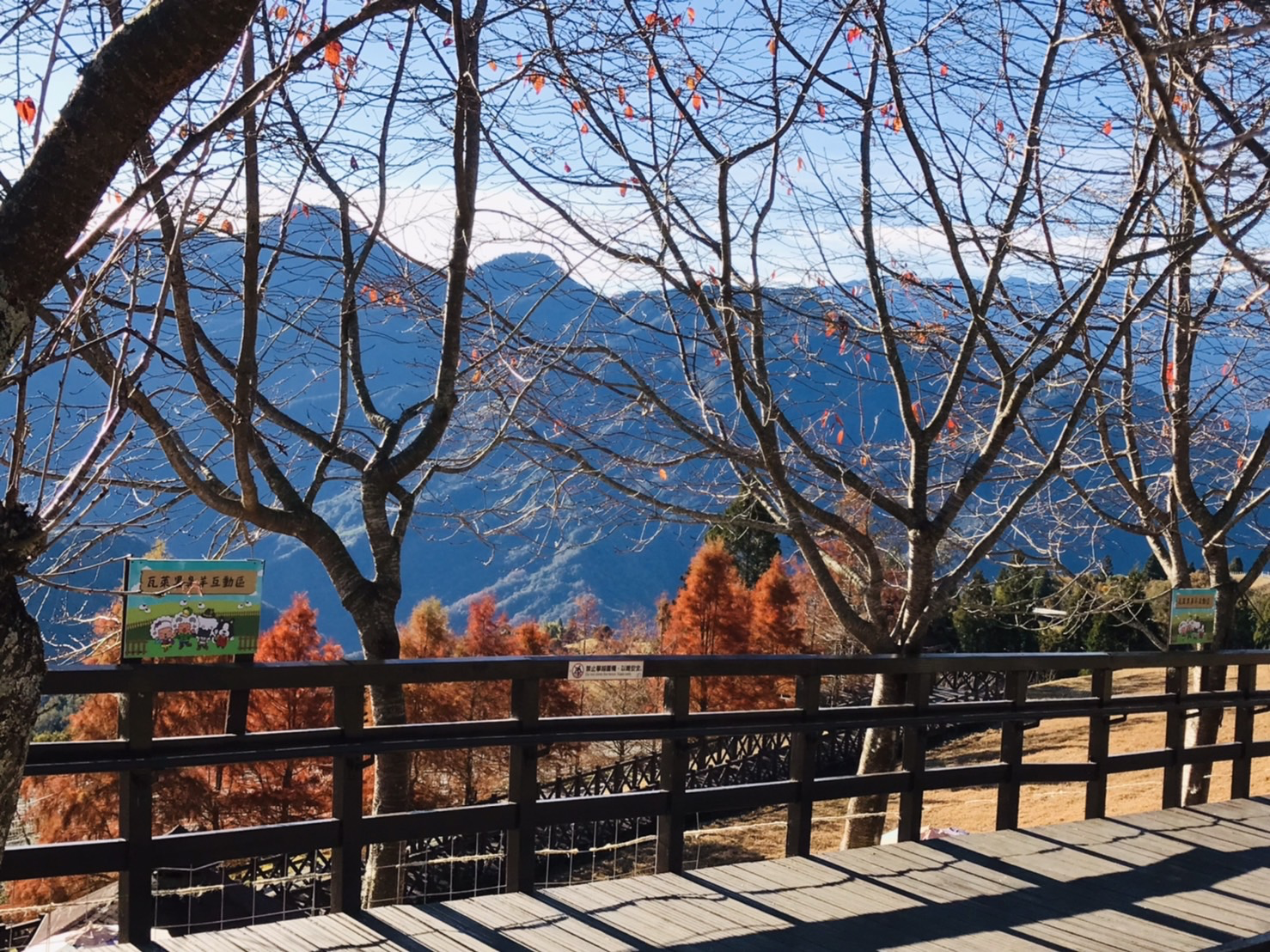 當雲霧覆蓋清境農場的山坡與草地，光與風交織的瞬間，讓旅途變得柔和