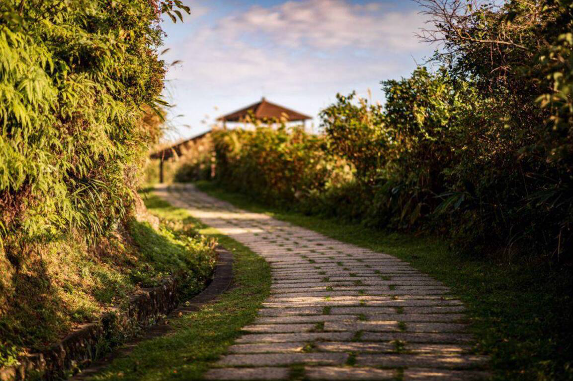 龍洞灣岬步道怎麼玩最值得？新北東北角絕美海岸步道，斷崖、海景、觀景平台一次收進行程