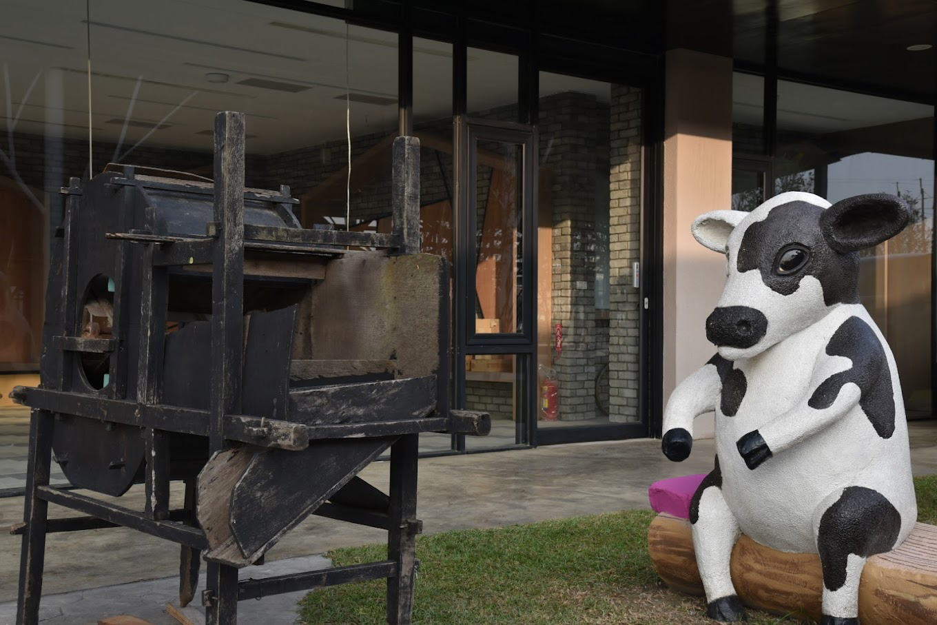 雲林超人氣親子景點！千巧谷牛樂園牧場免門票就能玩 可愛牛牛、餵牛體驗一次滿足