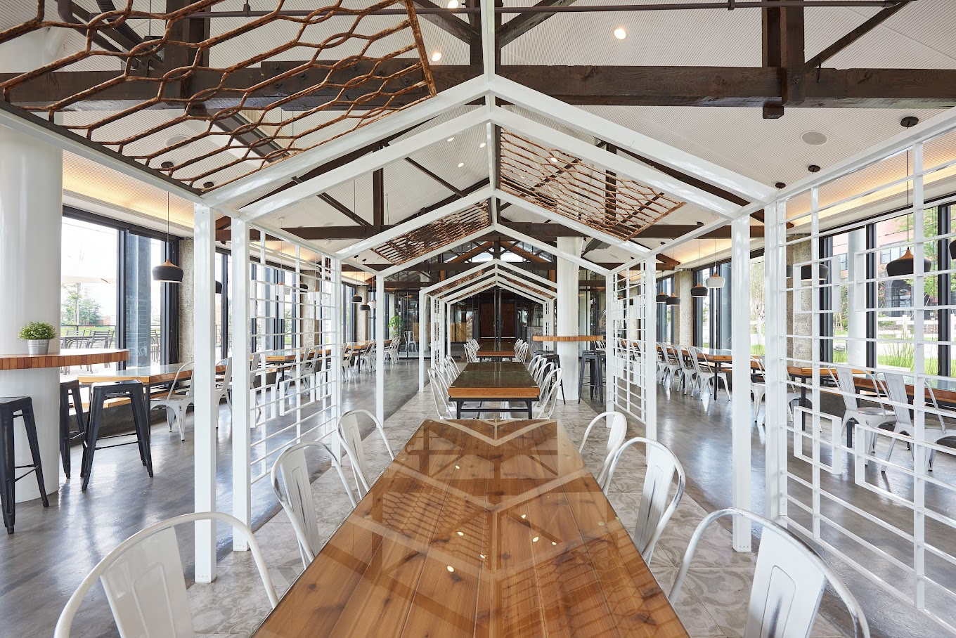 雲林超人氣親子景點！千巧谷牛樂園牧場免門票就能玩 可愛牛牛、餵牛體驗一次滿足