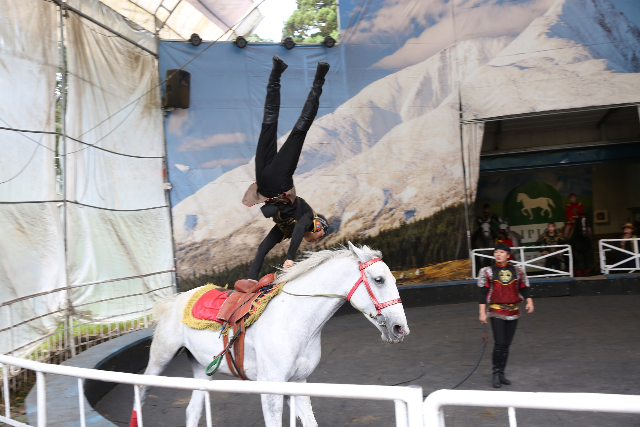 當雲霧覆蓋清境農場的山坡與草地，光與風交織的瞬間，讓旅途變得柔和