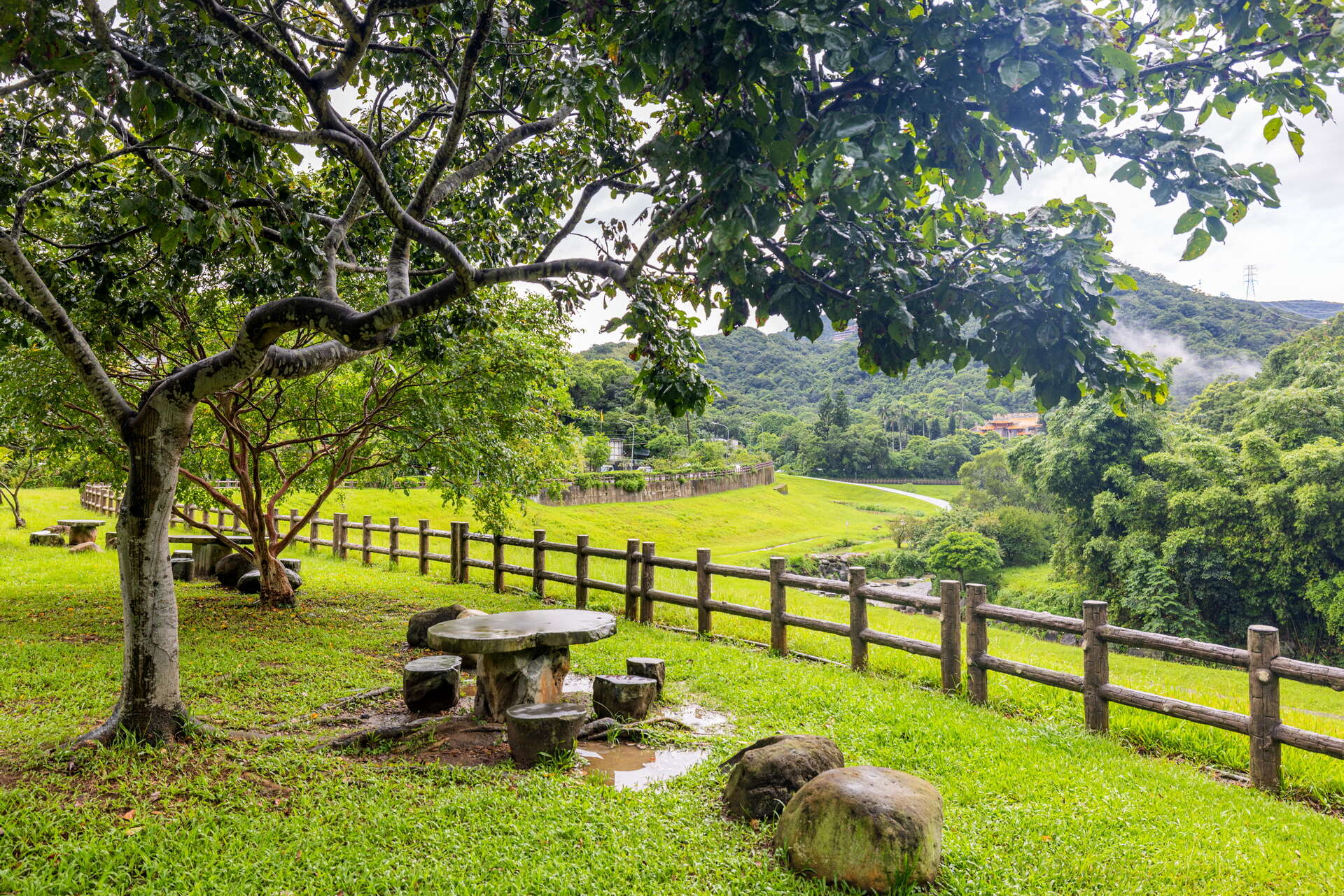 搭捷運走進台北內湖大溝溪親水步道，把午後留給溪流與一片安靜草地
