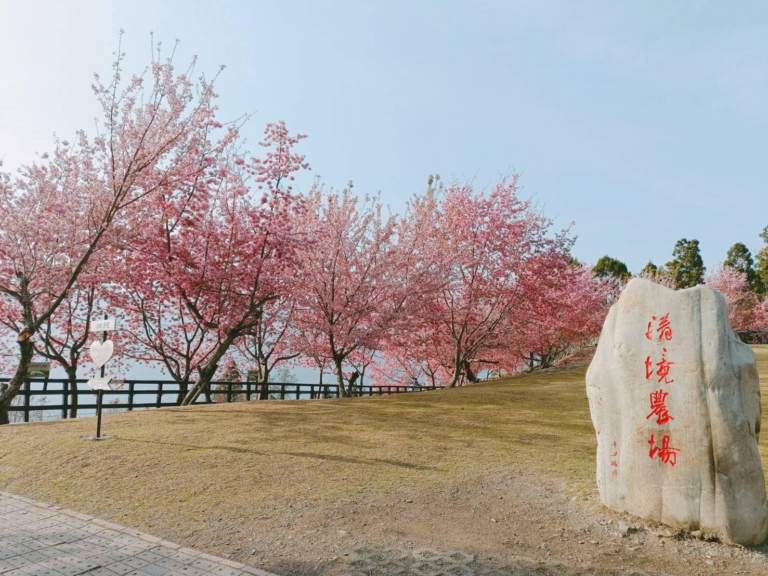當雲霧覆蓋清境農場的山坡與草地,光與風交織的瞬間,讓旅途變得柔和