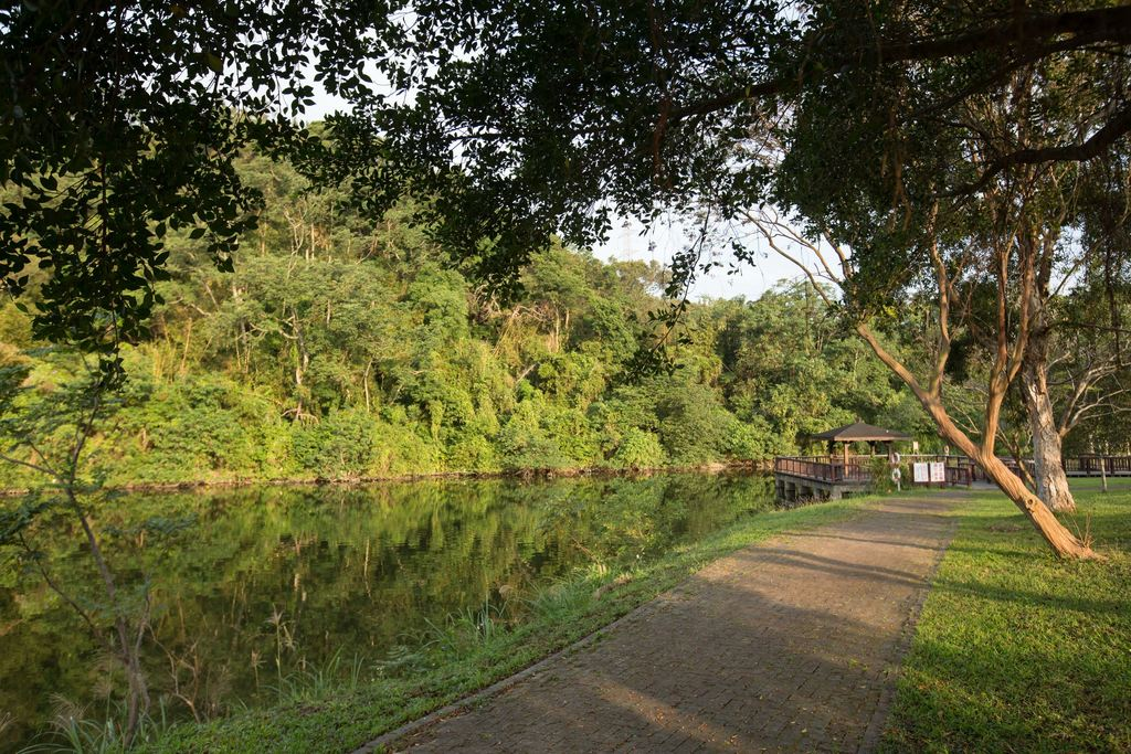 在龍潭三坑自然生態公園沿著溪水散步，午後陽光落下時剛好適合停一會