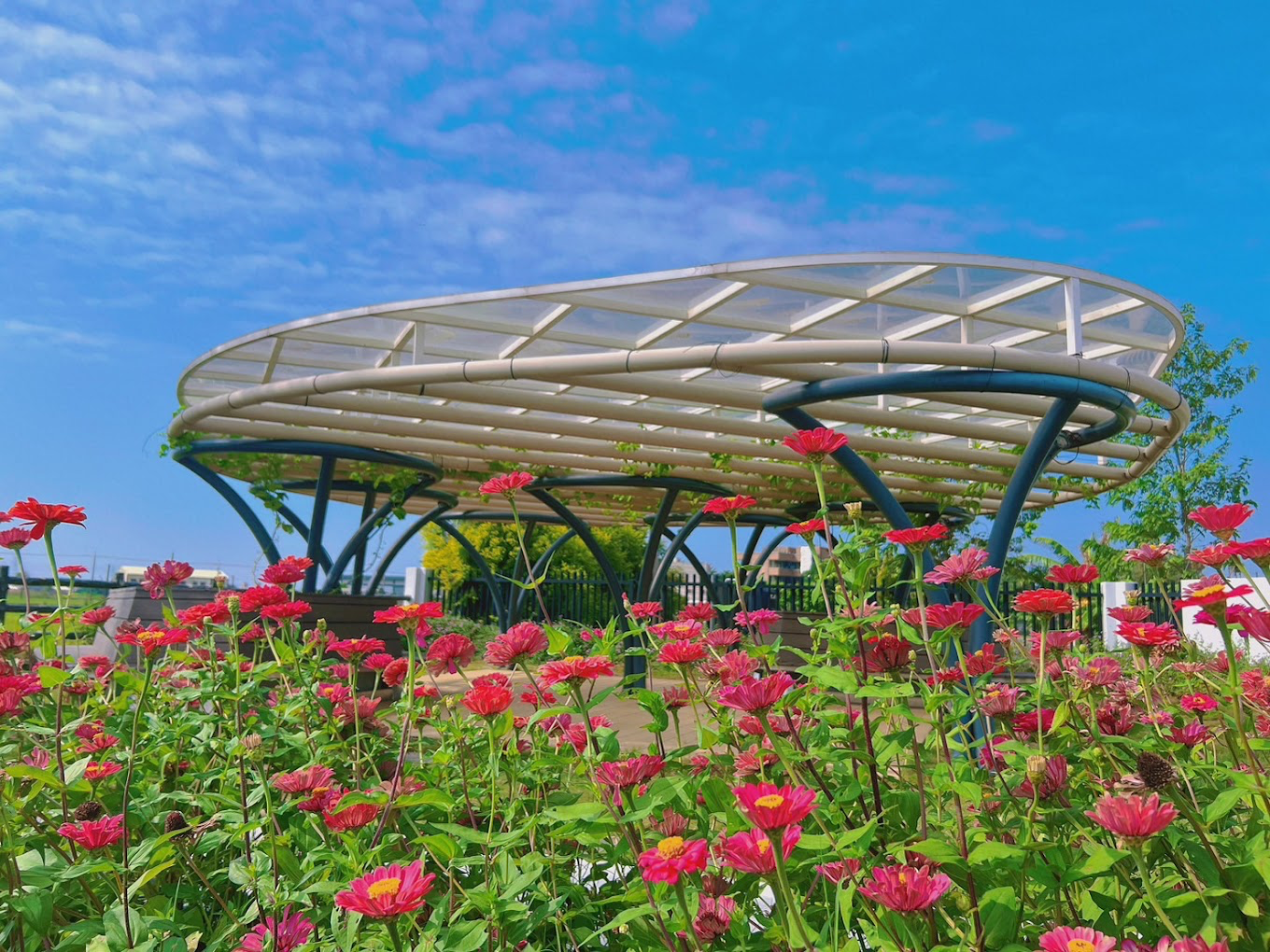雲林土庫新亮點！走進土庫驛可可莊園 感受可可香氣與小鎮慢旅行魅力