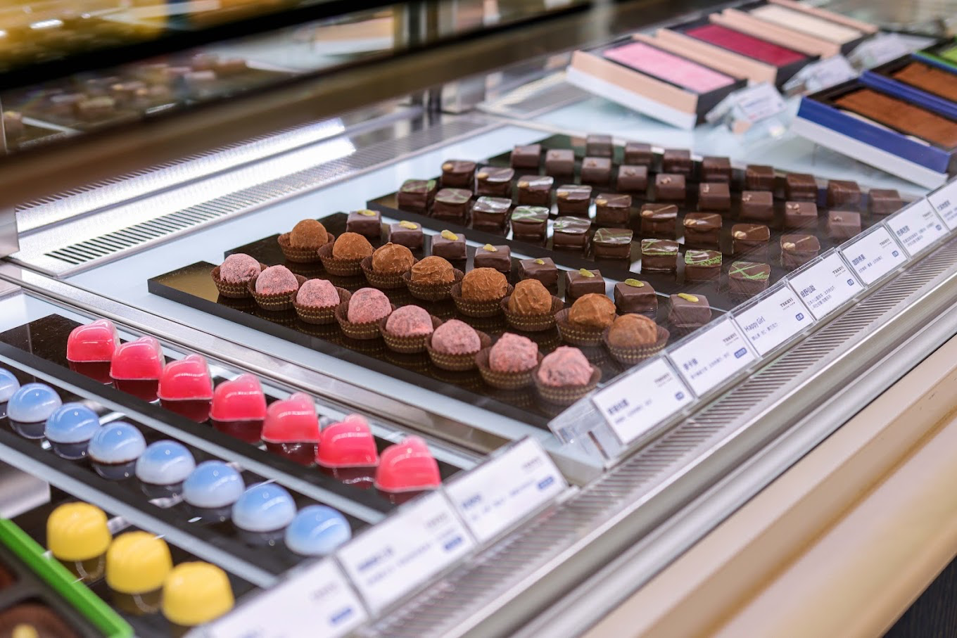 雲林土庫新亮點！走進土庫驛可可莊園 感受可可香氣與小鎮慢旅行魅力