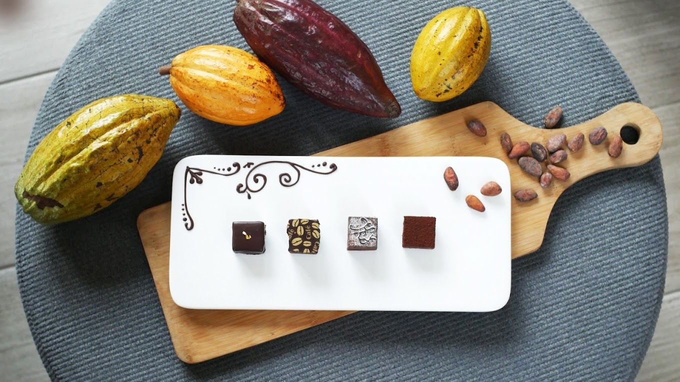 雲林土庫新亮點！走進土庫驛可可莊園 感受可可香氣與小鎮慢旅行魅力