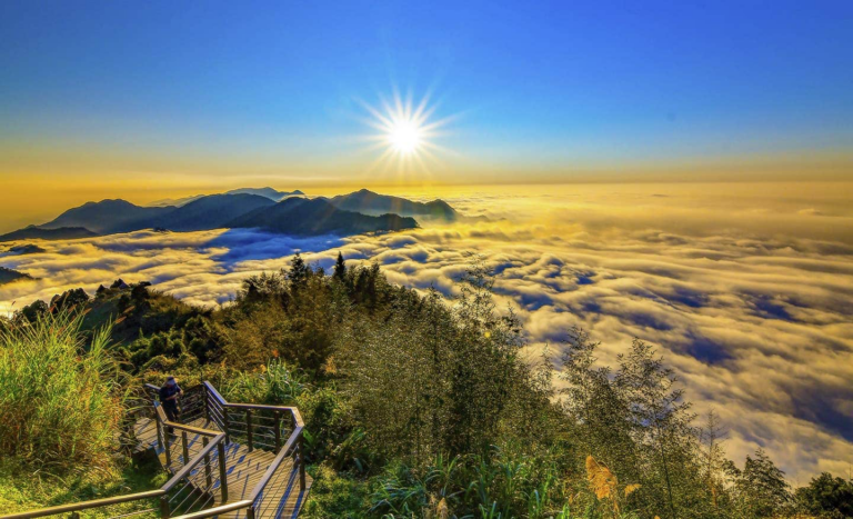 走進阿里山最療癒的森林風景！阿里山步道把巨木、雲霧與山林靜謐一次收藏