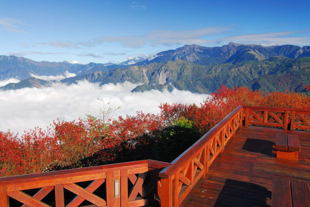 阿里山最震撼的360度視野！小笠原山觀景台把日出、雲海、玉山群峰一次看盡