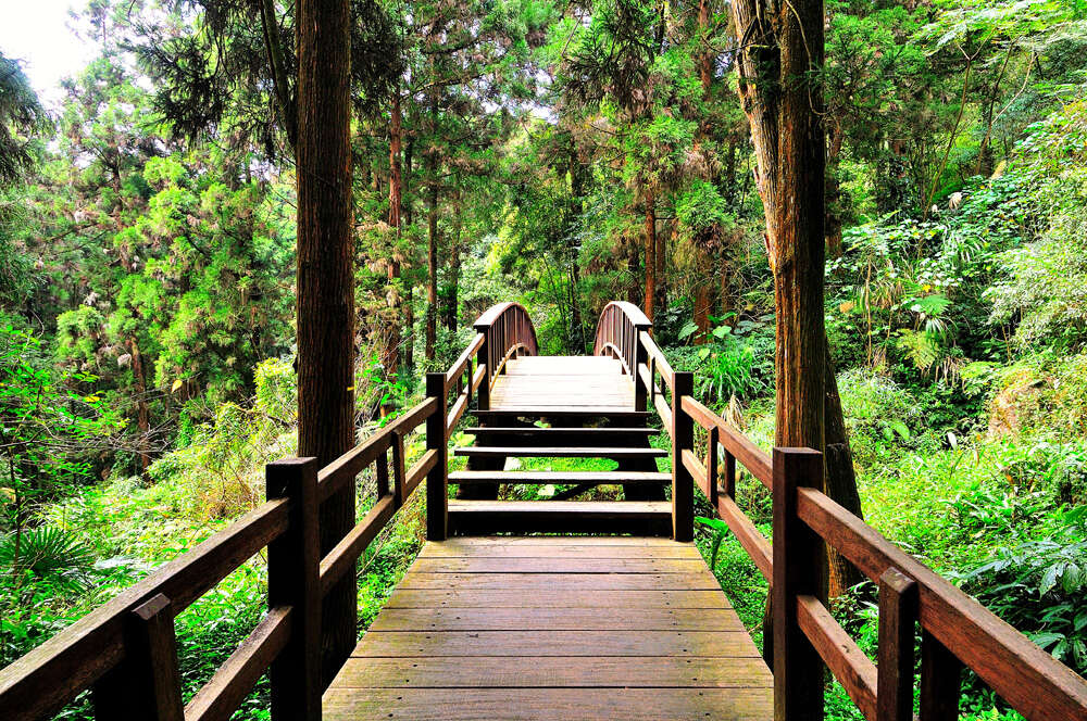 奮起湖的每一段階梯與街角，是歲月留下的痕跡，在這裡讓節奏慢慢放下