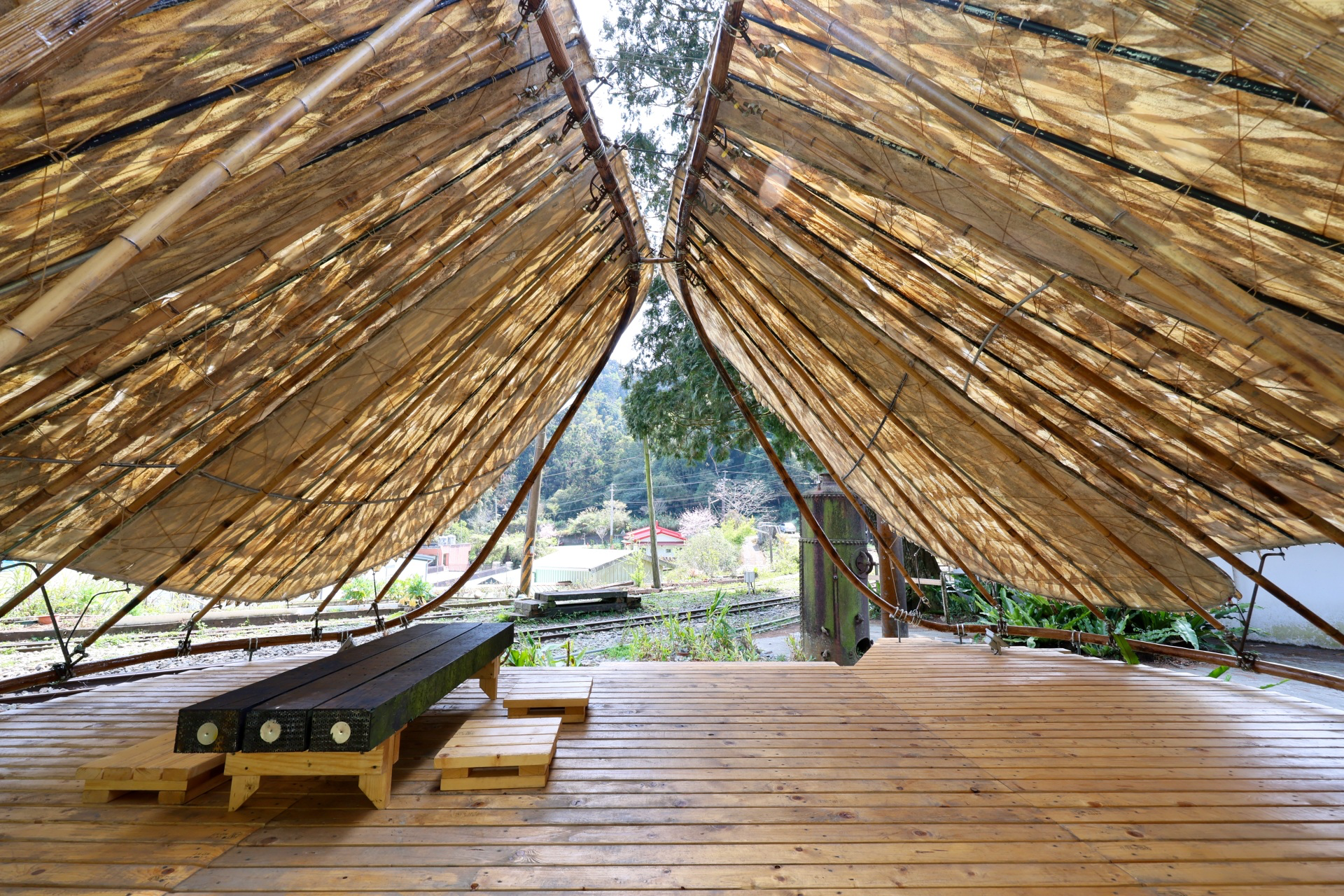 水社寮車站這樣玩！阿里山林鐵上的Ω字形秘境，山林視野與鐵道風景一次收下
