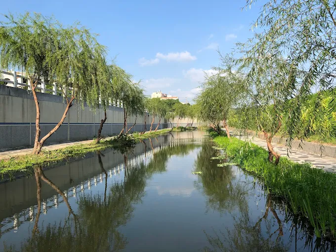 苗栗一日遊走得剛剛好,這條從茶園到海岸的路線會讓人想停下來
