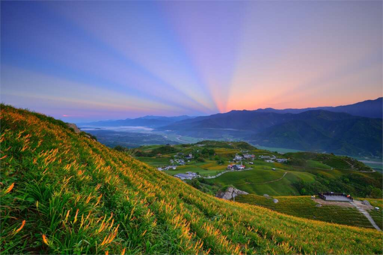 六十石山金針花海美到像鋪滿山谷的黃金地毯！花蓮最夢幻夏末限定景色 一眼看盡花東縱谷療癒風光